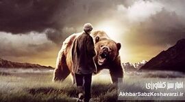 مردی که خواست خرس باشد؛ روایتی تکان‌دهنده از «مرد گریزلی»