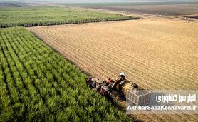 از کشت فراسرزمینی تا سرمایه‌گذاری خارجی؛ سپرهای دفاعی که نساختیم