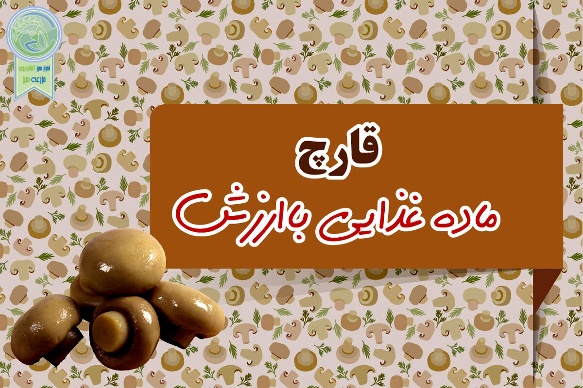 قارچ ماده غذایی باارزش

