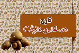 قارچ ماده غذایی باارزش

