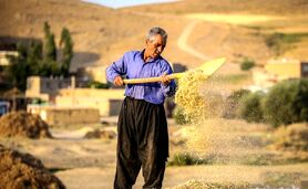 احیای دیمزارها با فناوری‌های نوین

