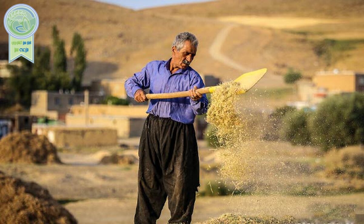 احیای دیمزارها با فناوری‌های نوین

