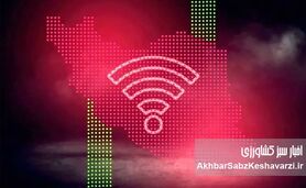 اینترنت پرو؛ لطف یا منفعت طلبی