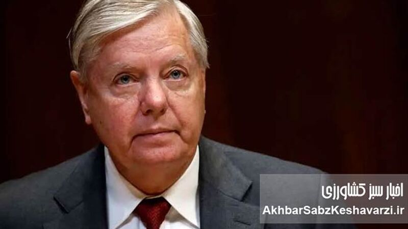 نحوه اعلام عجیب خبر درگذشت لیندسی گراهام از صداوسیما+ ویدئو