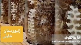 گفت‌وگوی اختصاصی با رضا خلیلی، زنبوردار خوش‌فکر در مسیر نوآوری؛ از عسل شیشه‌ای تا تولید پرگا+ویدئو
