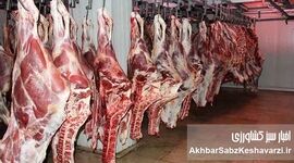 قیمت جدید گوشت در میادین تره بار تهران: فرصت خرید ۳۰ درصد ارزان‌تر