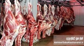 قیمت جدید گوشت در میادین تره بار تهران: فرصت خرید ۳۰ درصد ارزان‌تر