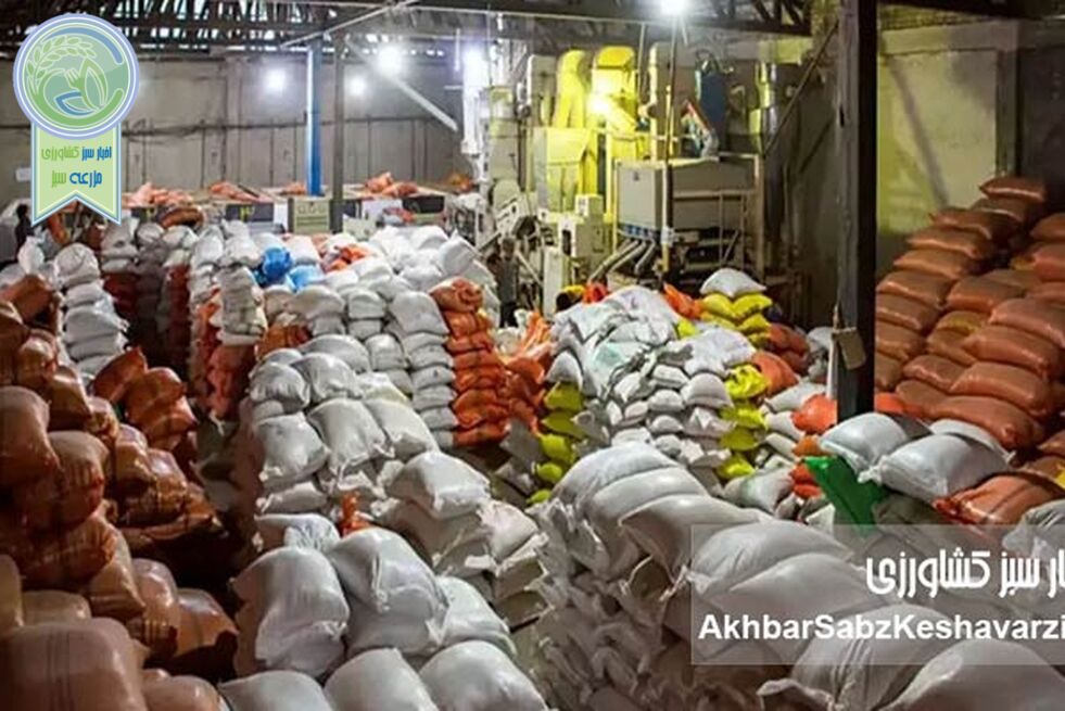 تلاش مافیای پشت واردات 60 هزار تن برنج وارداتی تقلبی جهت شکستن حکم 