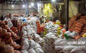 تلاش مافیای پشت واردات 60 هزار تن برنج وارداتی تقلبی جهت شکستن حکم 