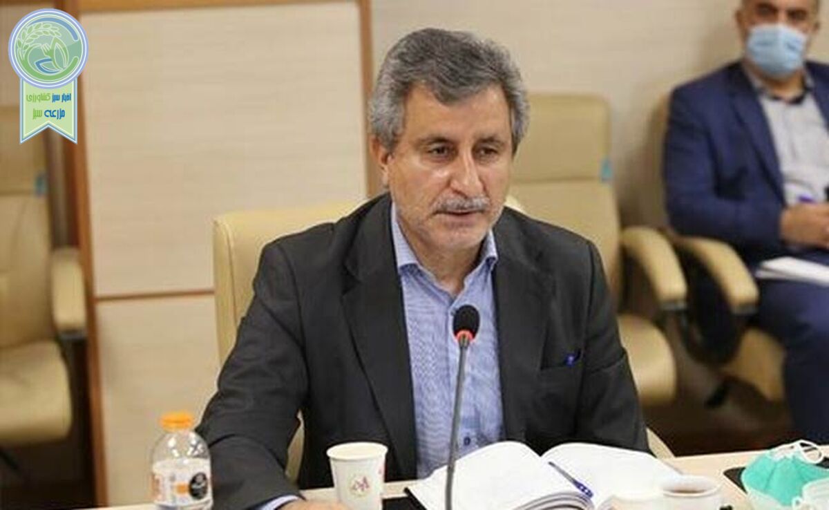امسال تولید گندم از خودکفایی به تولید مازاد رسید

