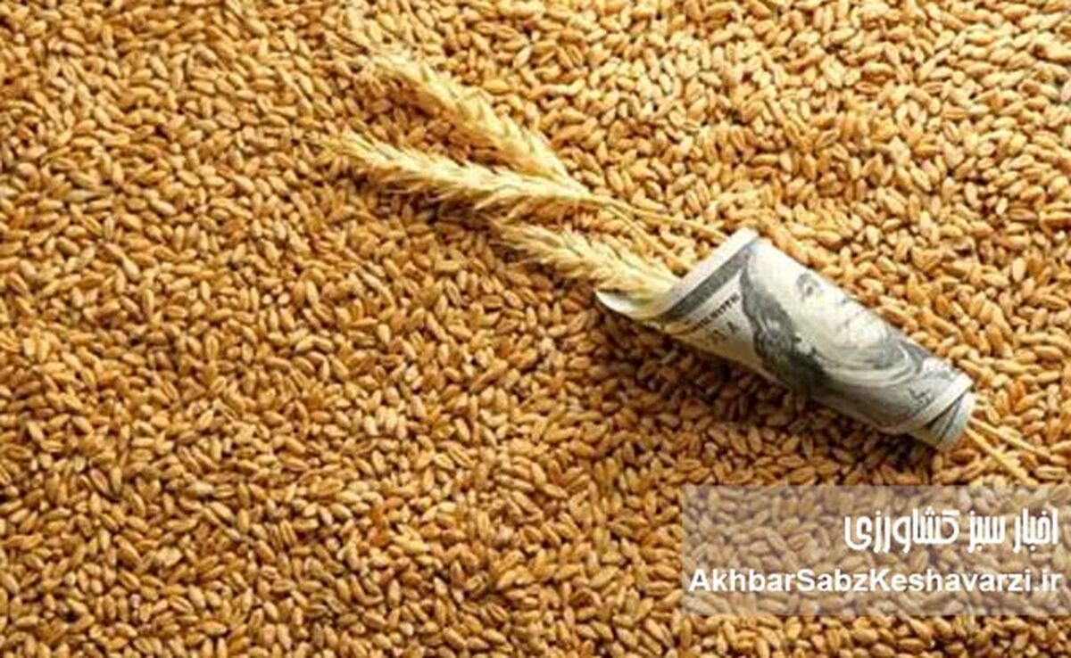 بازار نهاده‌های دامی در چنگال مافیا: ارز ترجیحی چگونه ناپدید می‌شود؟