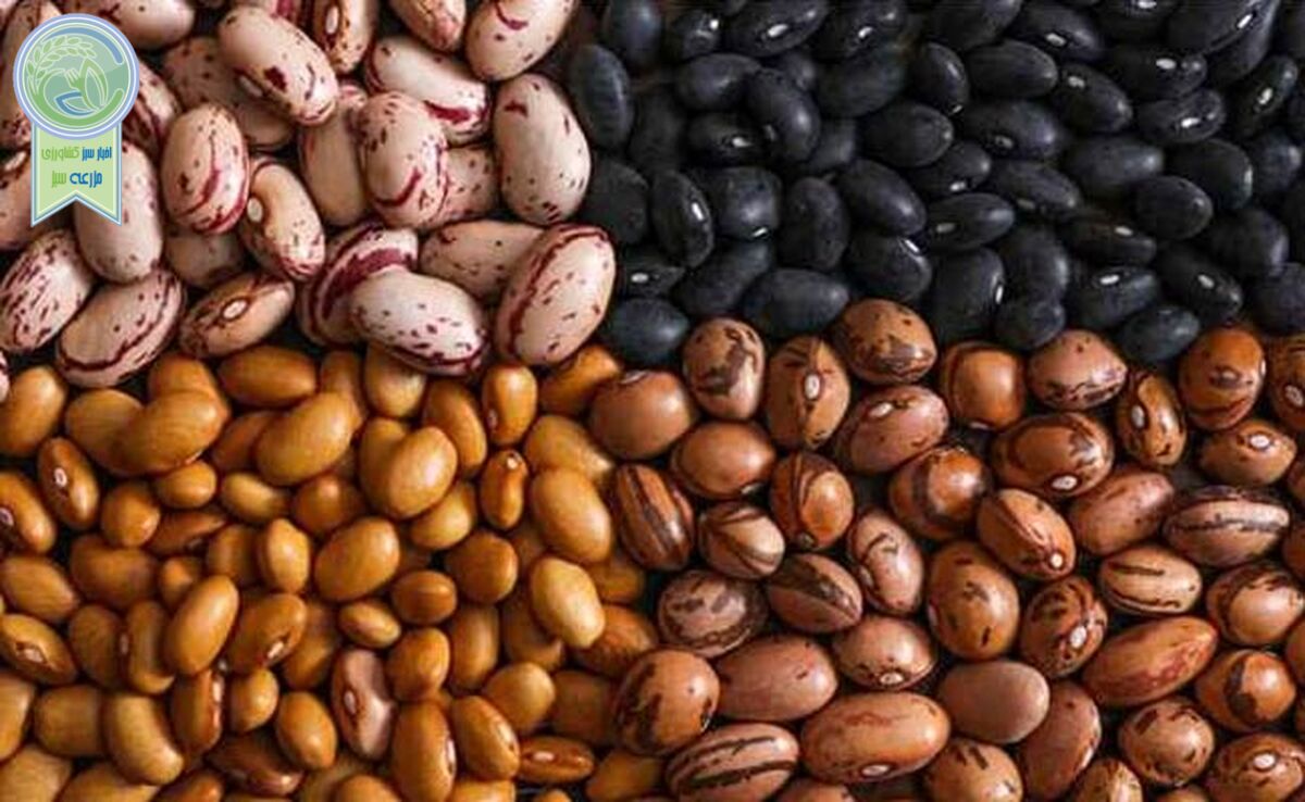 رفع محدودیت واردات حبوبات راهی برای کاهش قیمت

