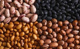 رفع محدودیت واردات حبوبات راهی برای کاهش قیمت

