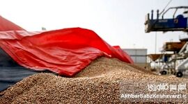 حبس نهاده‌های دامی در بنادر؛ مصوبه‌ای که ۴۰ روز ابلاغ نشد