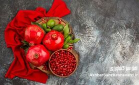 یلدا فرصتی برای باهم بودن فارغ از سرخی و زردی رویمان!