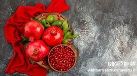 یلدا فرصتی برای باهم بودن فارغ از سرخی و زردی رویمان!