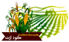 بهترین زمان استفاده از کود ازت

