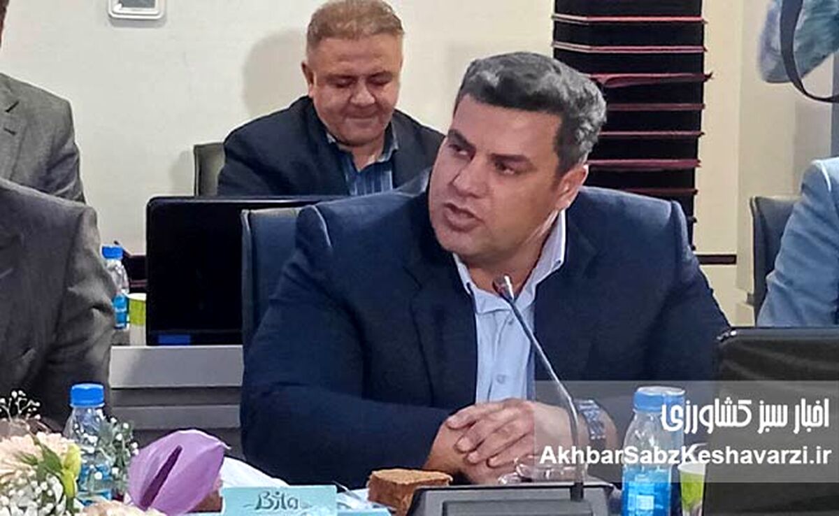افشین احمدی: بیمه کشاورزی در روزهای بحران، تکیه‌گاه تولیدکننده است
