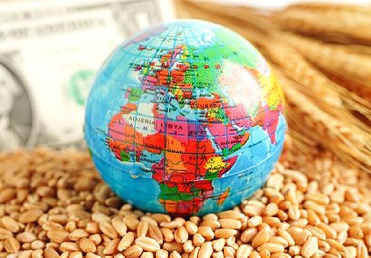 زنگ خطر در بازار جهانی ذرت؛ کسری نزدیک به ۳۰ میلیون تن در راه است