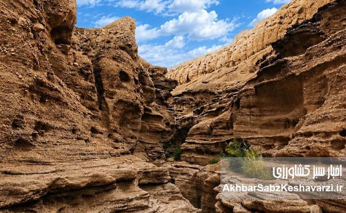 گنج پنهان ایران؛ چرا ثروت میلیون‌ساله را نادیده گرفته‌ایم؟