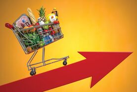 اینفوگرافی میزان افزایش قیمت کالاهای مهم خانوار
