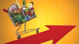 اینفوگرافی میزان افزایش قیمت کالاهای مهم خانوار
