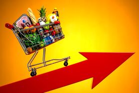 اینفوگرافی میزان افزایش قیمت کالاهای مهم خانوار
