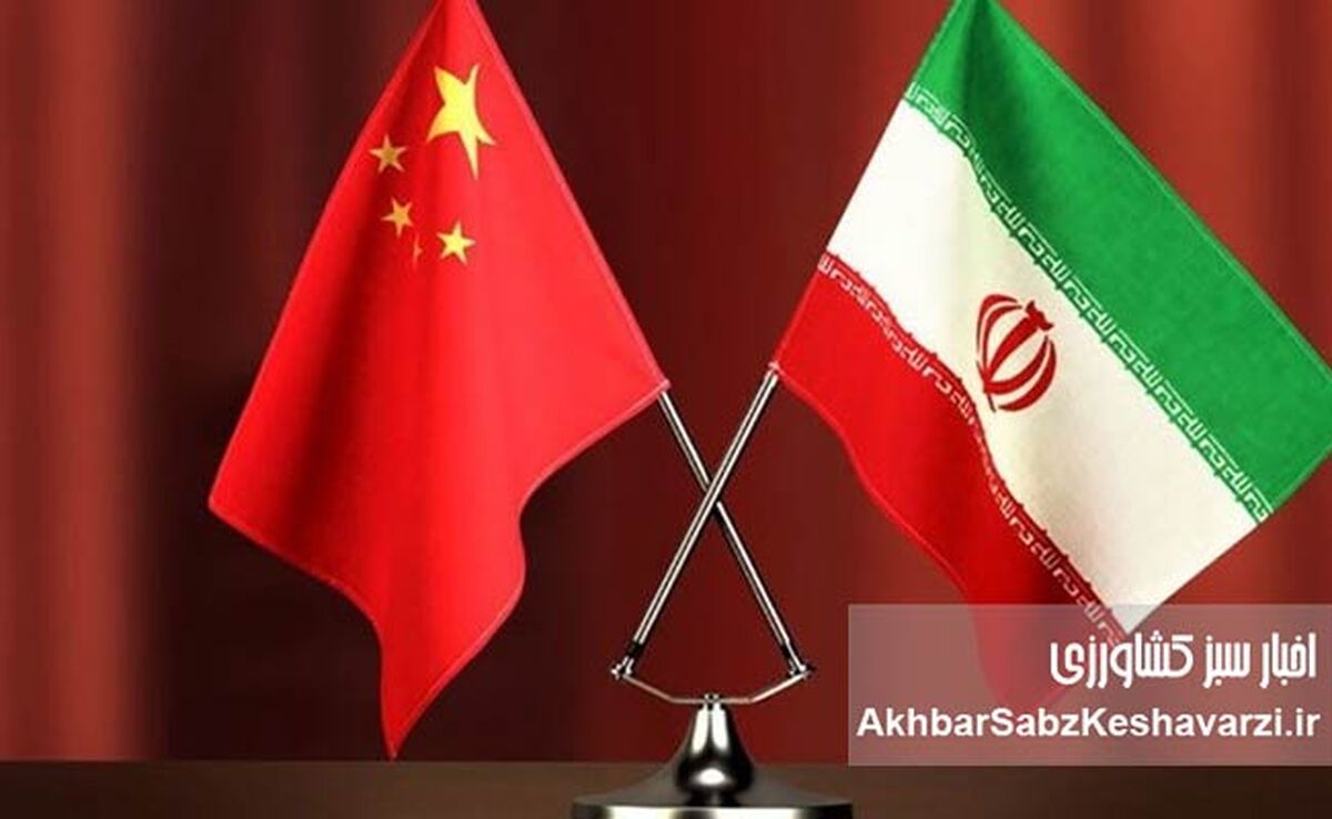 تولد نسل تازه برنج در سایه همکاری تهران–پکن