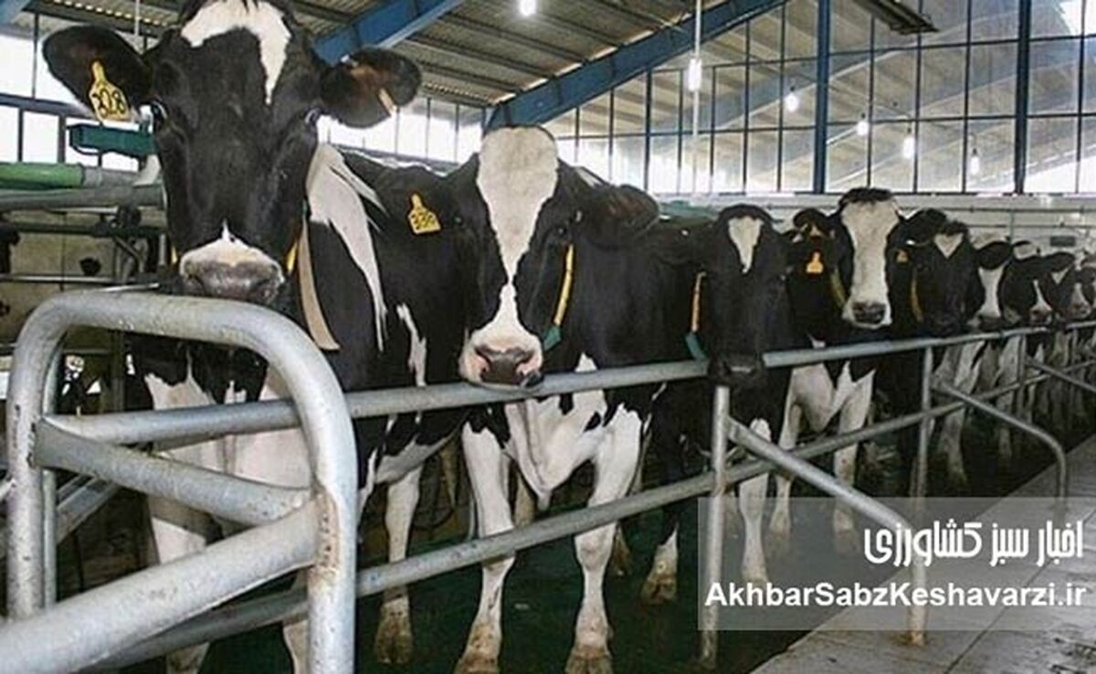 هشدار سازمان FAO به کشورهای خاور نزدیک و اوراسیای غربی درباره خطر گسترش تب برفکی سروتیپ SAT1