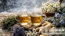 گیاهانی که در زمستان به داد بدن انسان می‌رسند