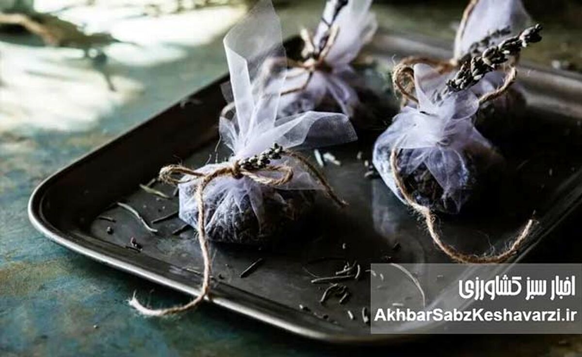 ۵ روش طبیعی برای خوشبو کردن خانه در گرمای تابستان