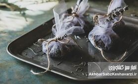 ۵ روش طبیعی برای خوشبو کردن خانه در گرمای تابستان