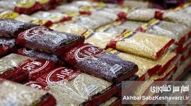 هر دانه لوبیا ۴۰۰ تومان!/ وقتی قیمت حبوبات از گوشت سبقت می‌گیرد!