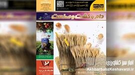 حضور نشریه دام و کشت و صنعت در سی‌وسومین نمایشگاه ایران آگروفود ۱۴۰۵

