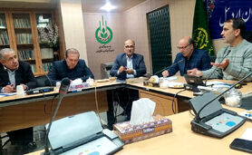امسال یک کیلوگرم امحای سیب‌زمینی نداشتیم

