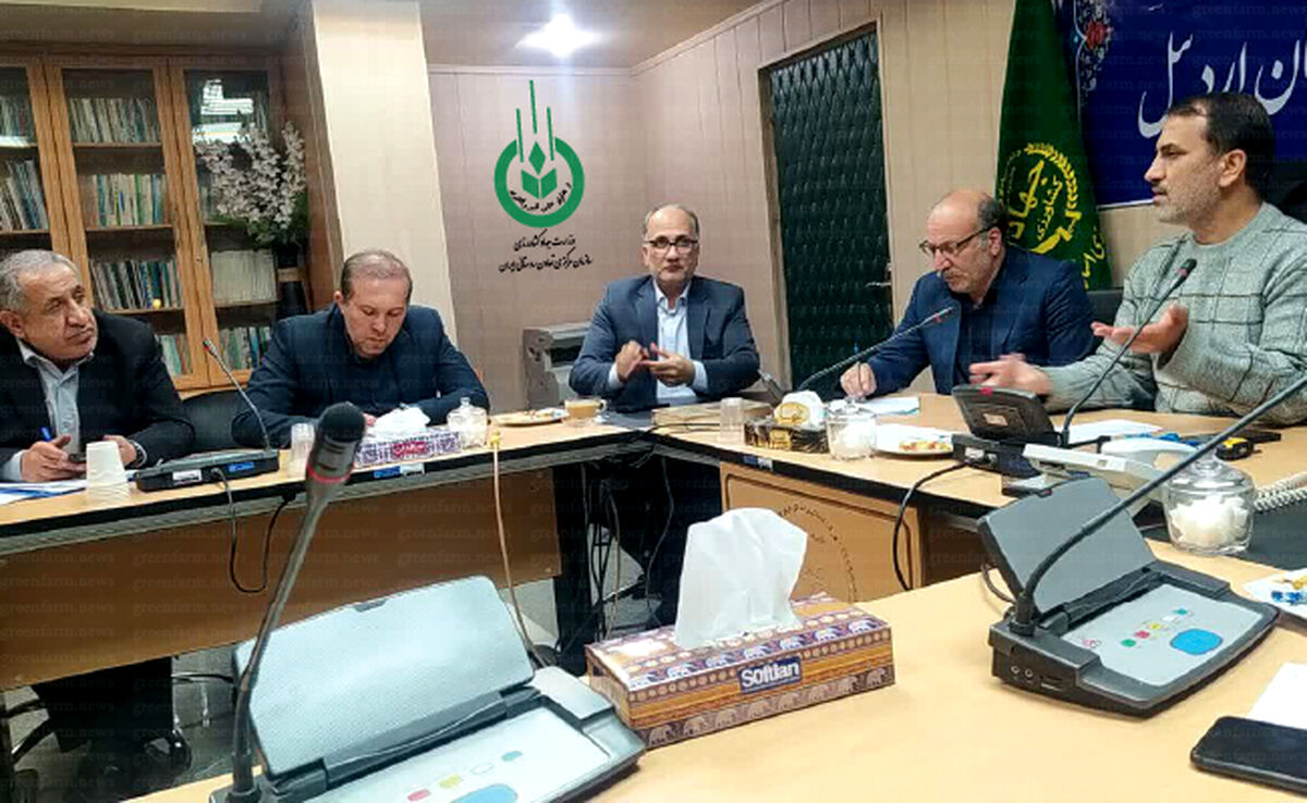 امسال یک کیلوگرم امحای سیب‌زمینی نداشتیم

