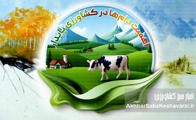اهمیت دام‌ها در کشاورزی پایدار