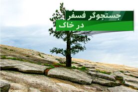 نقش فسفر در رشد و نمو گیاهان چیست؟

