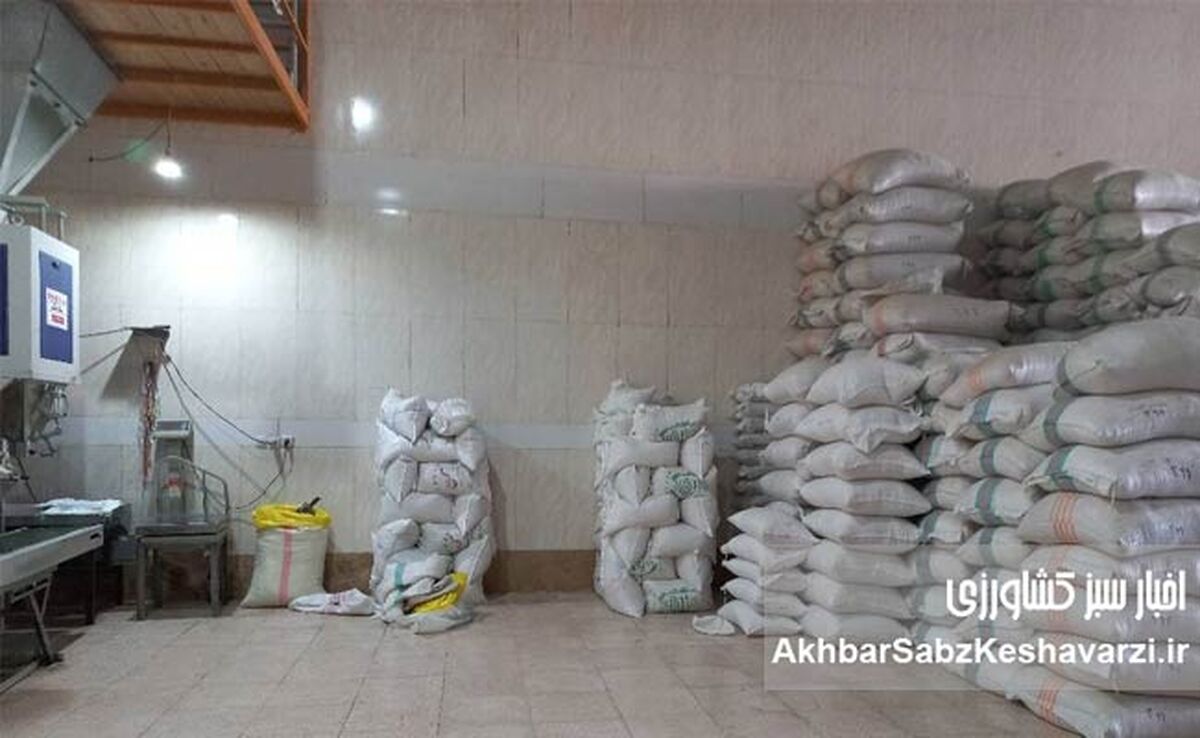 سرنوشت واردات ۶۰ هزار تن برنج تقلبی در دست یاران افشین