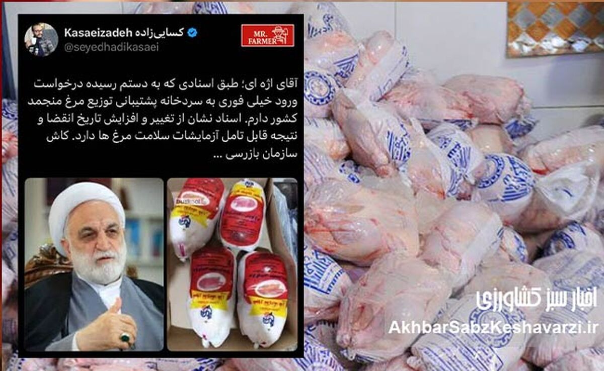 هشدار درباره سلامت مرغ های منجمد؛ پای اژه‌ای باز شد+عکس
