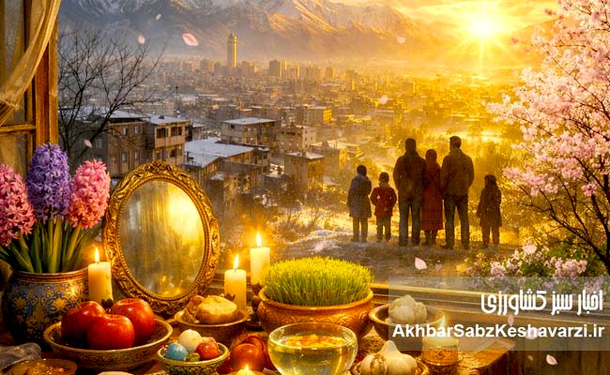 هَلی‌تی‌تی در مازندران؛ فصل شکوفه‌های آلوچه از ۱۵ تا ۲۰ فروردین آغاز می‌شود