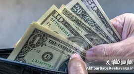 نوسان شبانه قیمت دلار با شایعات مذاکرات؛ جهش ۸هزارتومانی در یک ساعت
