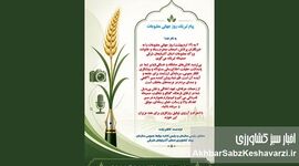 تبریک روز جهانی مطبوعات؛ ارج‌گذاری به رسالت اصحاب رسانه در پاسداشت حقیقت و آگاهی