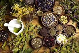 نقشه راه سرمایه‌گذاری در گیاهان دارویی؛ پرسودترین گونه‌ها با مصرف آب حداقلی