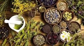 نقشه راه سرمایه‌گذاری در گیاهان دارویی؛ پرسودترین گونه‌ها با مصرف آب حداقلی