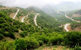 تناقض و سردرگمی در مدیریت زاگرس

