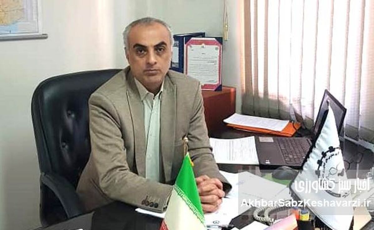 امنیت غذایی مردم زیر تیغ تهدید: چرا تولید داخلی قربانی می‌شود؟+ ویدئو