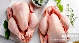قیمت مصوب مرغ اعلام شد: مرغ گران‌تر از قیمت تولید، ارزان‌تر از قیمت مصوب؟