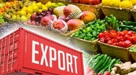 صادرات ۳۶۰ میلیون دلاری محصولات کشاورزی از آذربایجان شرقی

