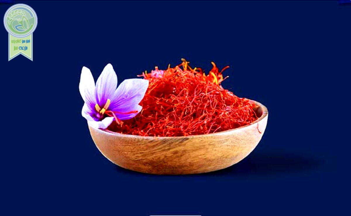 بزرگترین عرضه زعفران در بورس

